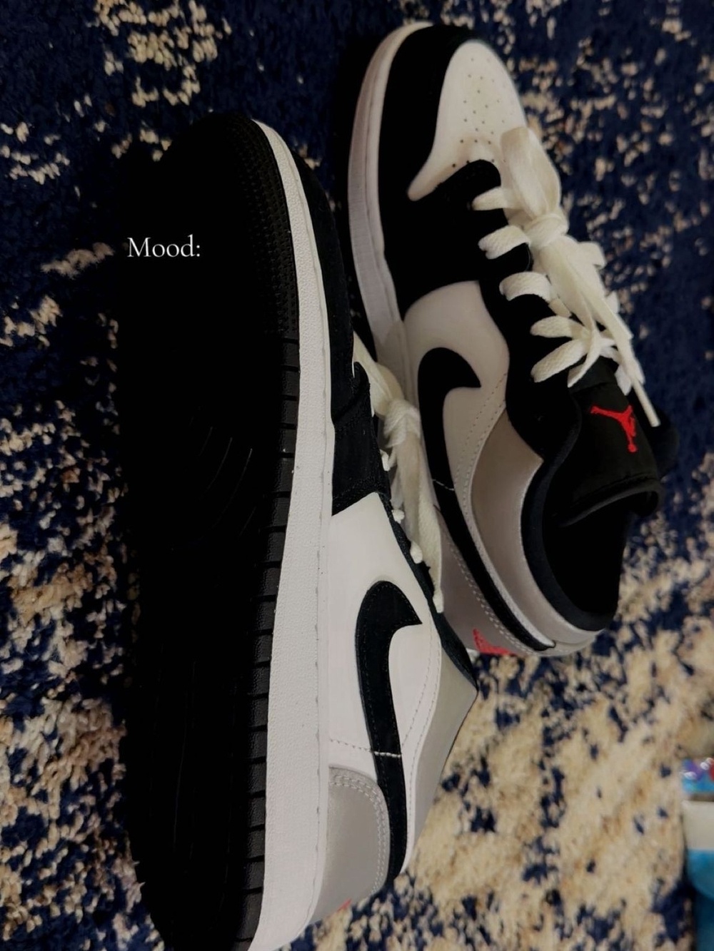 Jordan Se 1 Low Panda Toe
